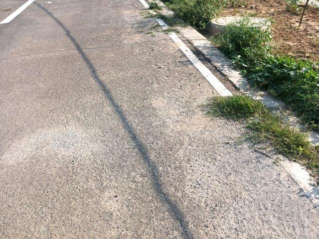 Residential Plot in Kherki Majra for resale Gurgaon. The reference number is 19688478