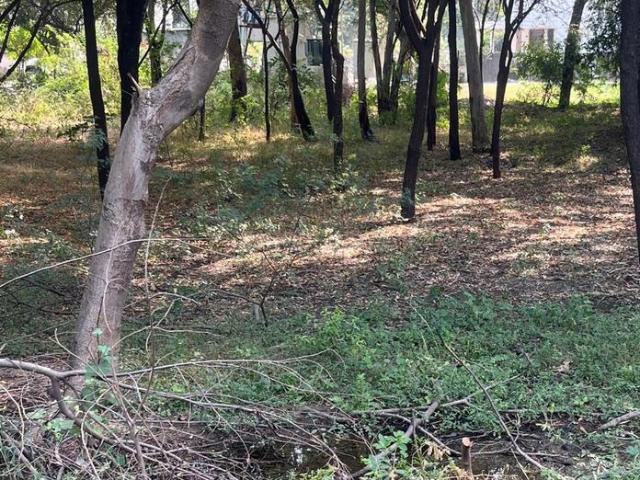 Residential Plot in Khoraj for resale Ahmedabad. The reference number is 19247459