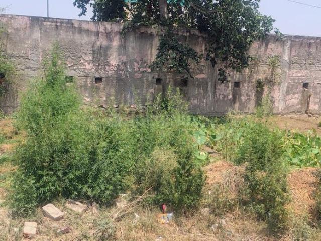 Residential Plot in Kidawali for resale Noida. The reference number is 20496804