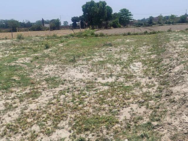 Residential Plot in Kidawali for resale Noida. The reference number is 20744868