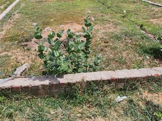 Residential Plot in Koba for resale Gandhinagar. The reference number is 20610391