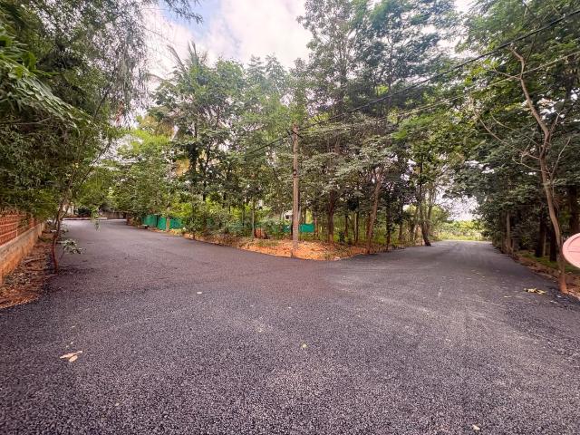 Residential Plot in Kodipalya for resale Bengaluru. The reference number is 20641453