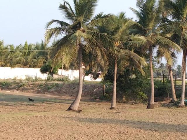 Residential Plot in Koovathur for resale Chennai. The reference number is 11251199