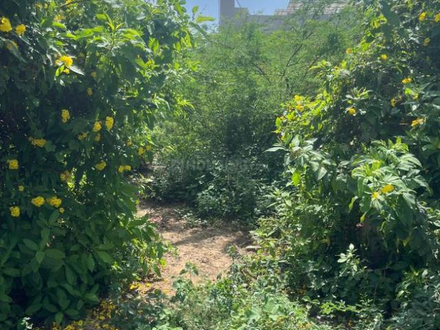 Residential Plot in Kolat for resale Ahmedabad. The reference number is 15001505
