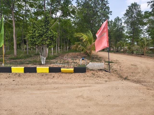 Residential Plot in Kolanupaka for resale Yadadri Bhuvanagiri. The reference number is 20685381