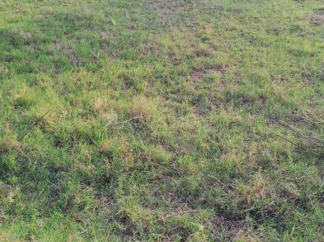Residential Plot in Kongara Kalan for resale Hyderabad. The reference number is 20493331