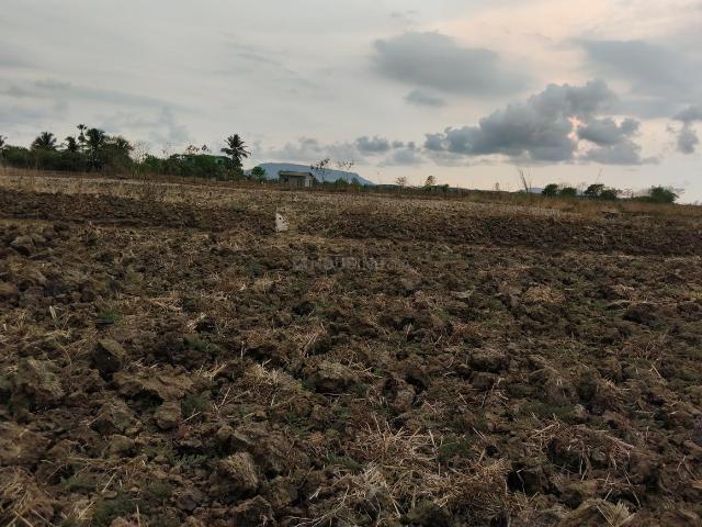 Residential Plot in Koproli, Uran Taluka for resale Navi Mumbai. The reference number is 20293575