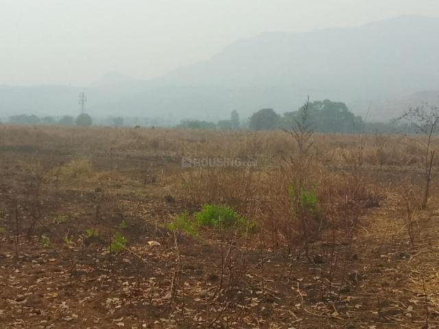 Residential Plot in Koproli, Uran Taluka for resale Navi Mumbai. The reference number is 20212879