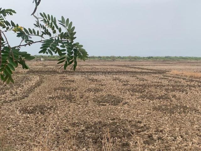 Residential Plot in Koproli, Uran Taluka for resale Navi Mumbai. The reference number is 20381939