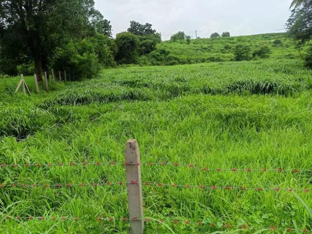 Residential Plot in Koproli, Uran Taluka for resale Navi Mumbai. The reference number is 20534474