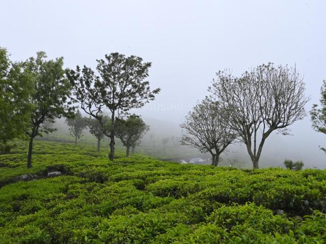 Residential Plot in Kotagiri for resale Ooty. The reference number is 19580557
