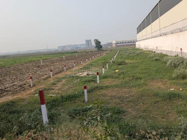 Residential Plot in Kothiya for resale Patna. The reference number is 20371466