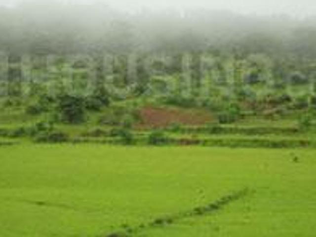 Residential Plot in Kothrud for resale Pune. The reference number is 7054059