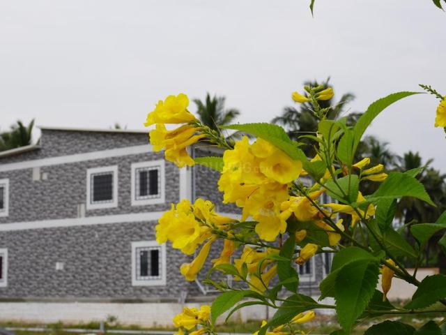 Residential Plot in Kovilpalayam for resale Coimbatore. The reference number is 12873794