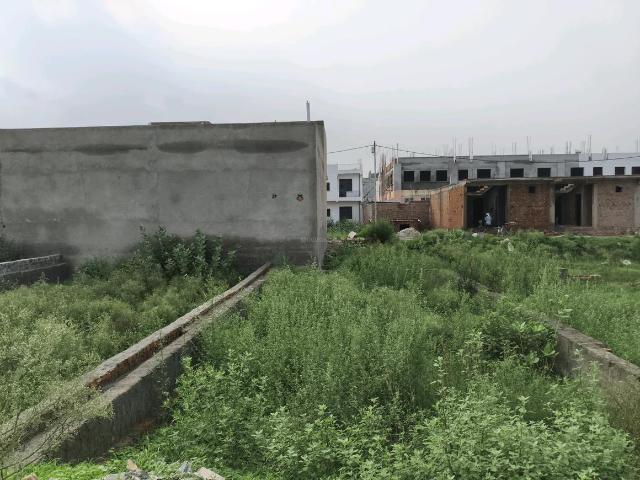 Residential Plot in Chhapraula for resale Ghaziabad. The reference number is 20736292