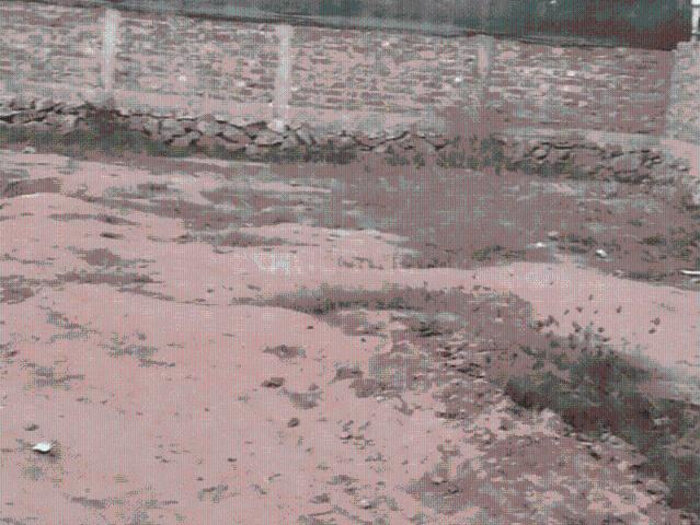 Residential Plot in Lalmati for resale Guwahati. The reference number is 19396281