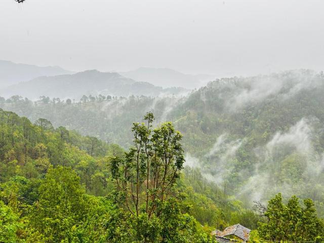 Residential Plot in Lansdowne for resale Pauri Garhwal. The reference number is 17686747