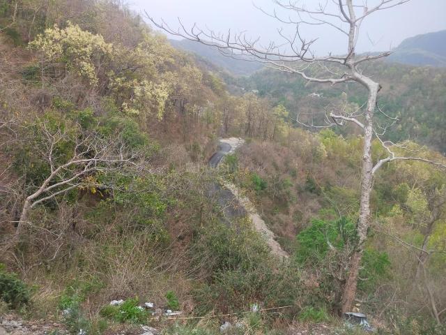 Residential Plot in Lansdowne for resale Pauri Garhwal. The reference number is 17123957