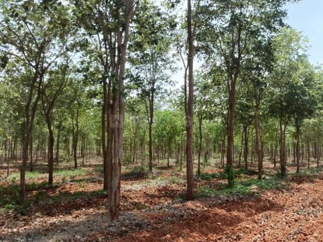 Residential Plot in LB Nagar for resale Hyderabad. The reference number is 19148472