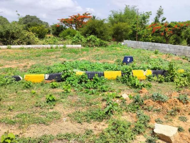 Residential Plot in Lingapura, Anekal for resale Bengaluru. The reference number is 20625271