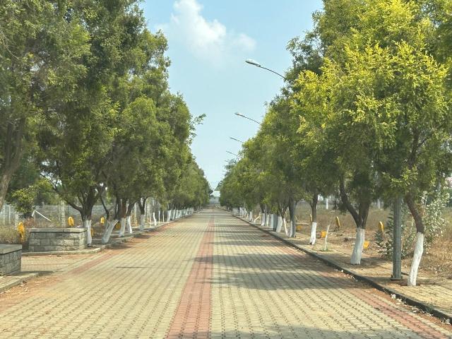 Residential Plot in Lingapura, Anekal for resale Bengaluru. The reference number is 20803448
