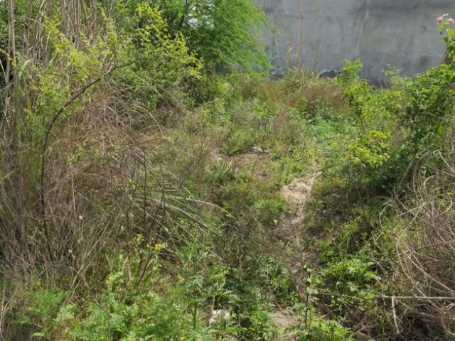 Residential Plot in Loni for resale Ghaziabad. The reference number is 9078557