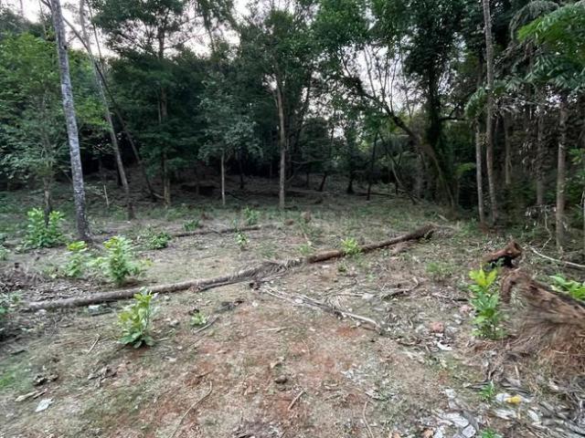 Residential Plot in Loutolim for resale Goa. The reference number is 20320545