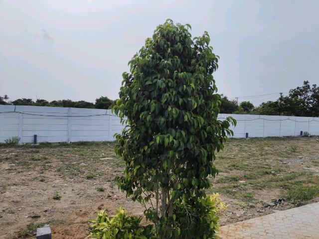 Residential Plot in Pudupakkam for resale Chennai. The reference number is 19255504