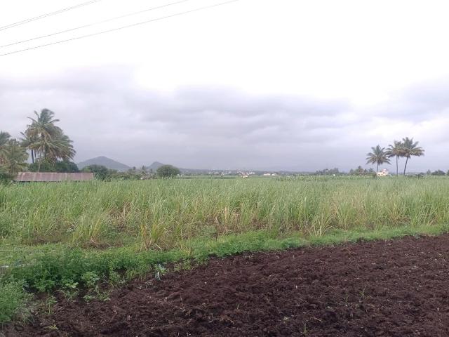 Residential Plot in Punade for resale Raigad. The reference number is 17889913