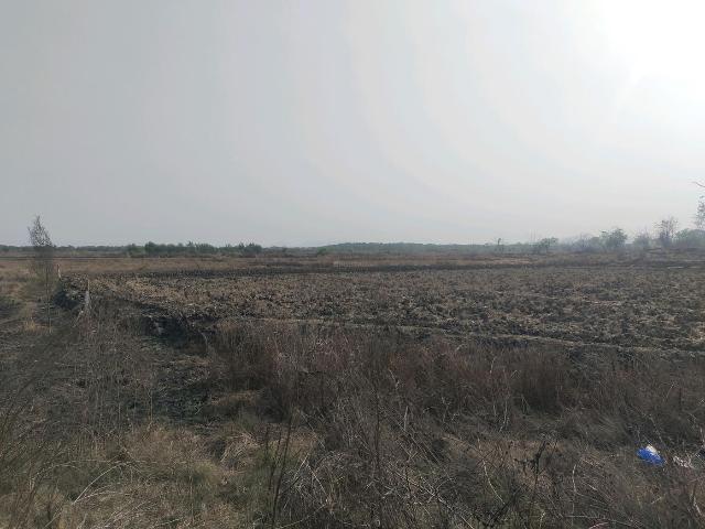 Residential Plot in Punade for resale Raigad. The reference number is 19707512