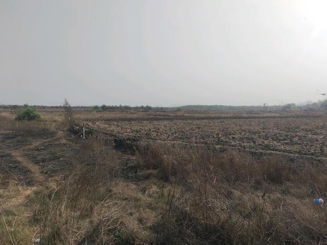 Residential Plot in Punade for resale Raigad. The reference number is 19719310