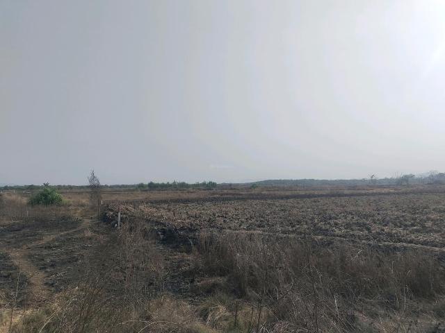 Residential Plot in Punade for resale Raigad. The reference number is 19719527