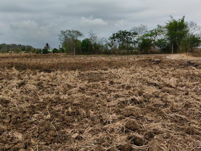 Residential Plot in Punade for resale Raigad. The reference number is 20664292