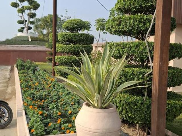 Residential Plot in Purseni for resale Lucknow. The reference number is 19991167