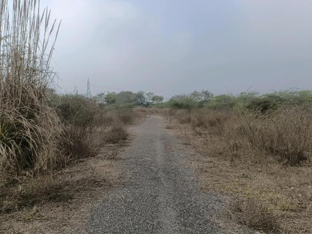 Residential Plot in Puth Khurd for resale New Delhi. The reference number is 19382293