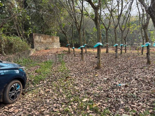 Residential Plot in Puthenkurish for resale Kochi. The reference number is 16437077