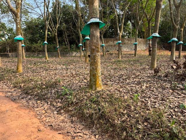 Residential Plot in Puthenkurish for resale Kochi. The reference number is 16437115