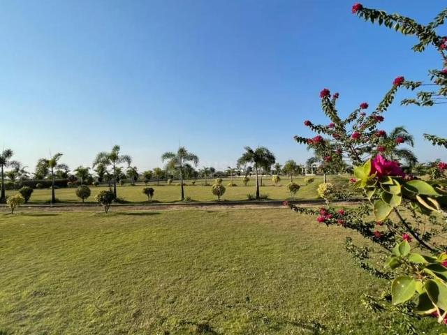 Residential Plot in Pacheda 1 for resale Raipur. The reference number is 20941440