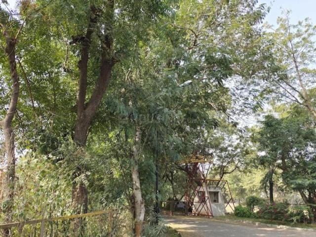 Residential Plot in Palodia for resale Gandhinagar. The reference number is 16623039