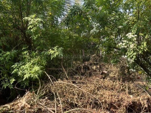 Residential Plot in Palodia for resale Gandhinagar. The reference number is 17518349