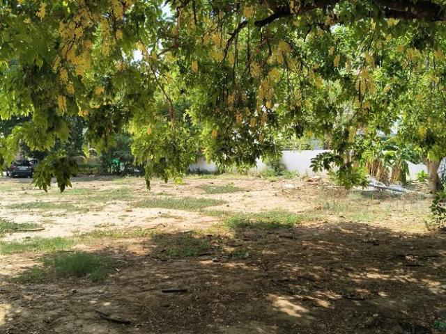 Residential Plot in Palam Vihar for resale Gurgaon. The reference number is 20540906