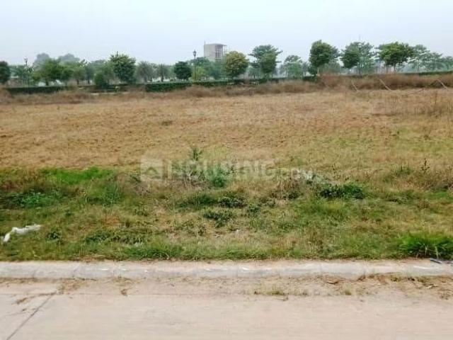 Residential Plot in Palheri for resale Mohali. The reference number is 19277404
