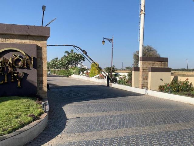 Residential Plot in Paliya Haidar for resale Indore. The reference number is 19539452