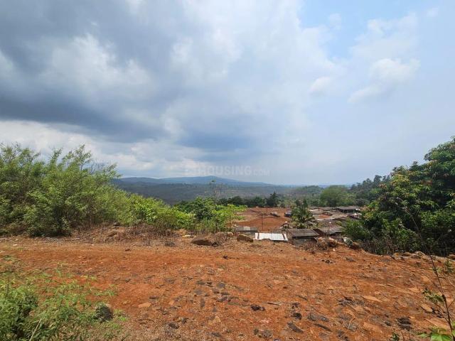 Residential Plot in Pali for resale Raigad. The reference number is 20551966