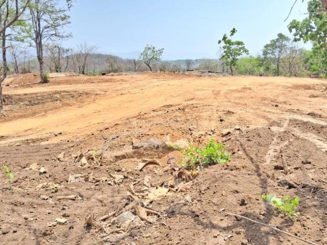 Residential Plot in Pali for resale Raigad. The reference number is 20552455