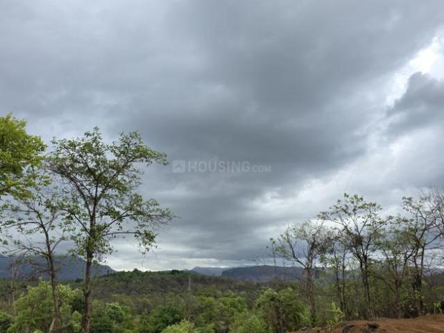 Residential Plot in Pali for resale Raigad. The reference number is 20555518