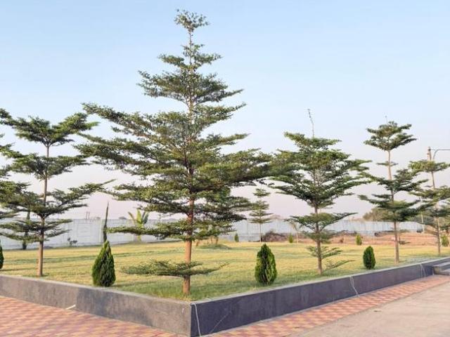 Residential Plot in Panda for resale Indore. The reference number is 19993941