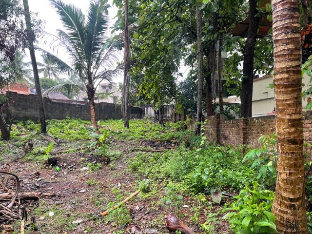 Residential Plot in Pangodu for resale Thiruvananthapuram. The reference number is 20430233