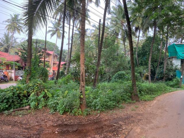 Residential Plot in Panjim for resale Goa. The reference number is 15109444