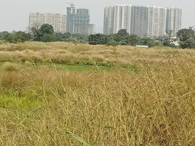 Residential Plot in Panvel for resale Navi Mumbai. The reference number is 18448070